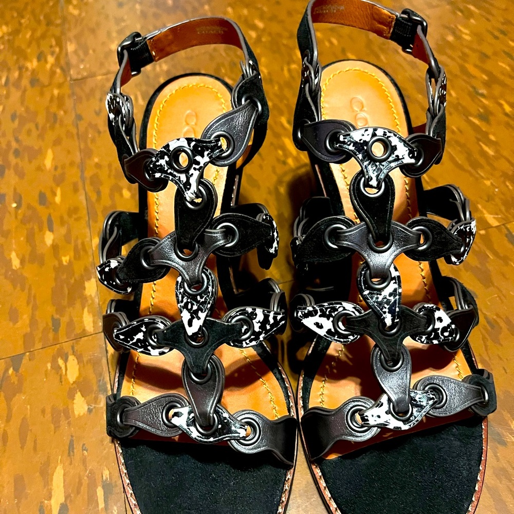 Coach Shoes
